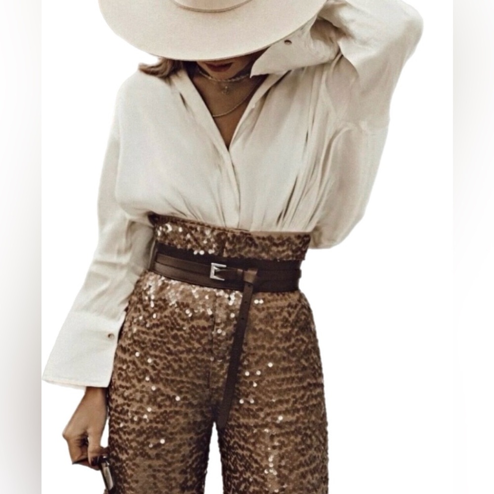 Zara Brown Sequin Pants - Picture 2 of 11